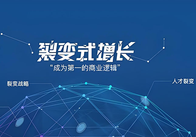 满村网络